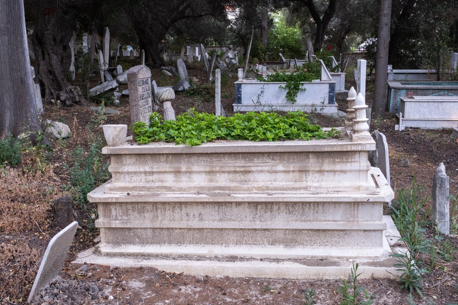 Ancient stone tomb in a historic cemetery surrounded by greenery, symbolizing Antigone and the burial of Polynices