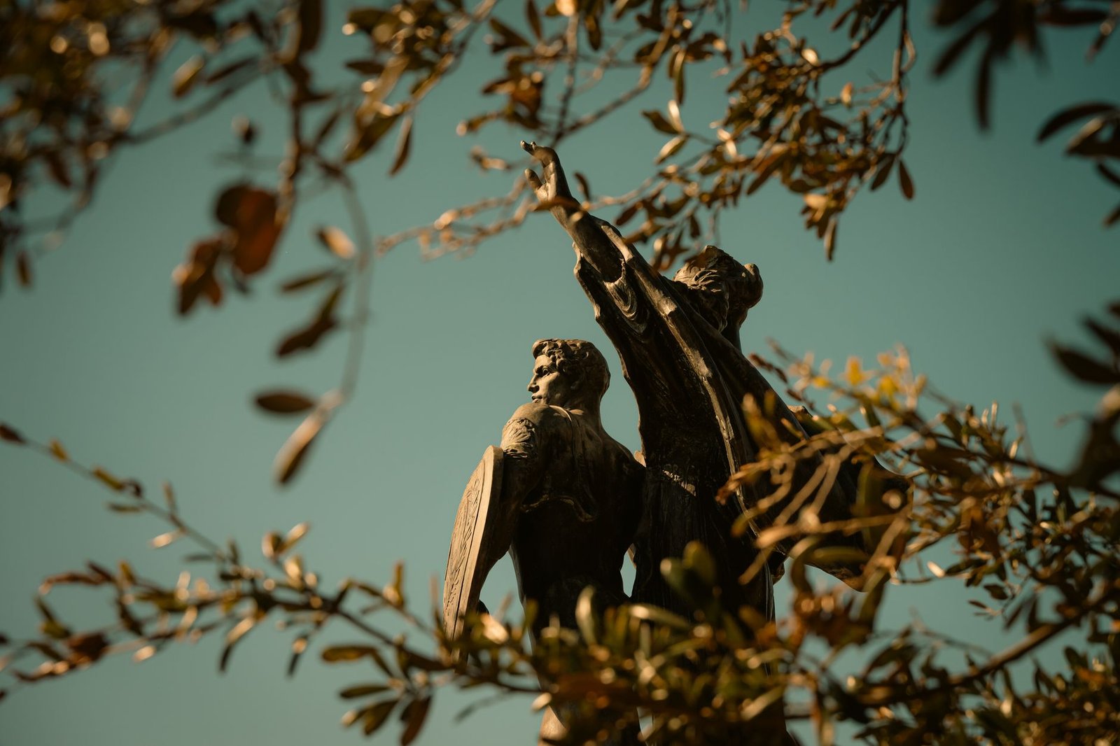 Two birds perched on tree branches against a clear blue sky, symbolizing Baucis and Philemon's transformation