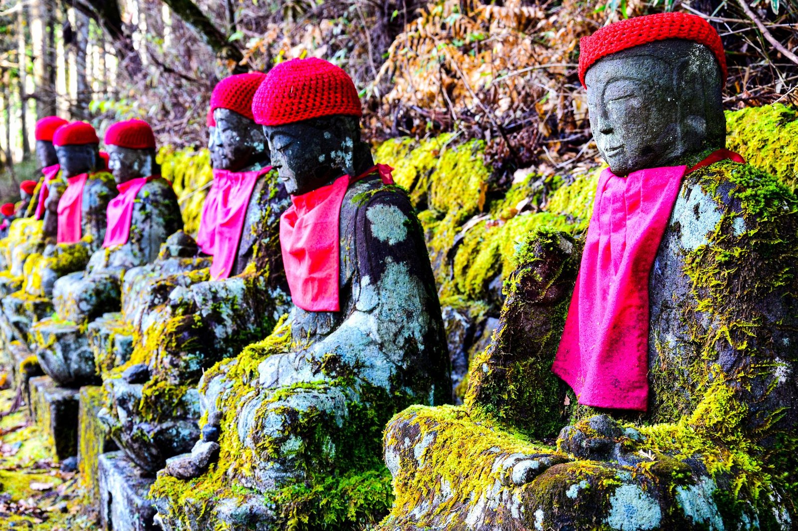 Row of moss-covered stone Buddha statues with red hats and bibs in a serene outdoor setting