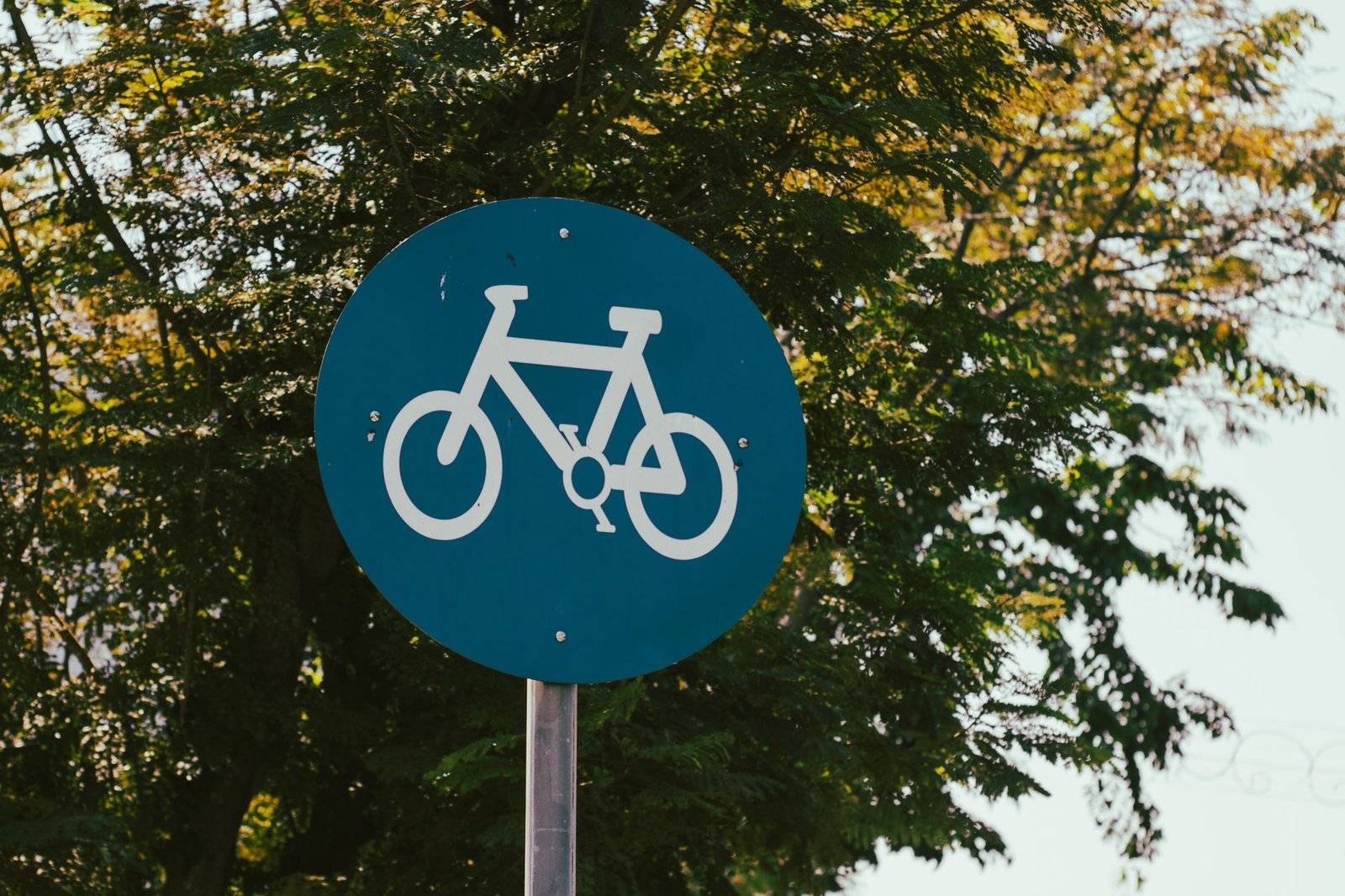 Blue bicycle lane sign with trees in the background