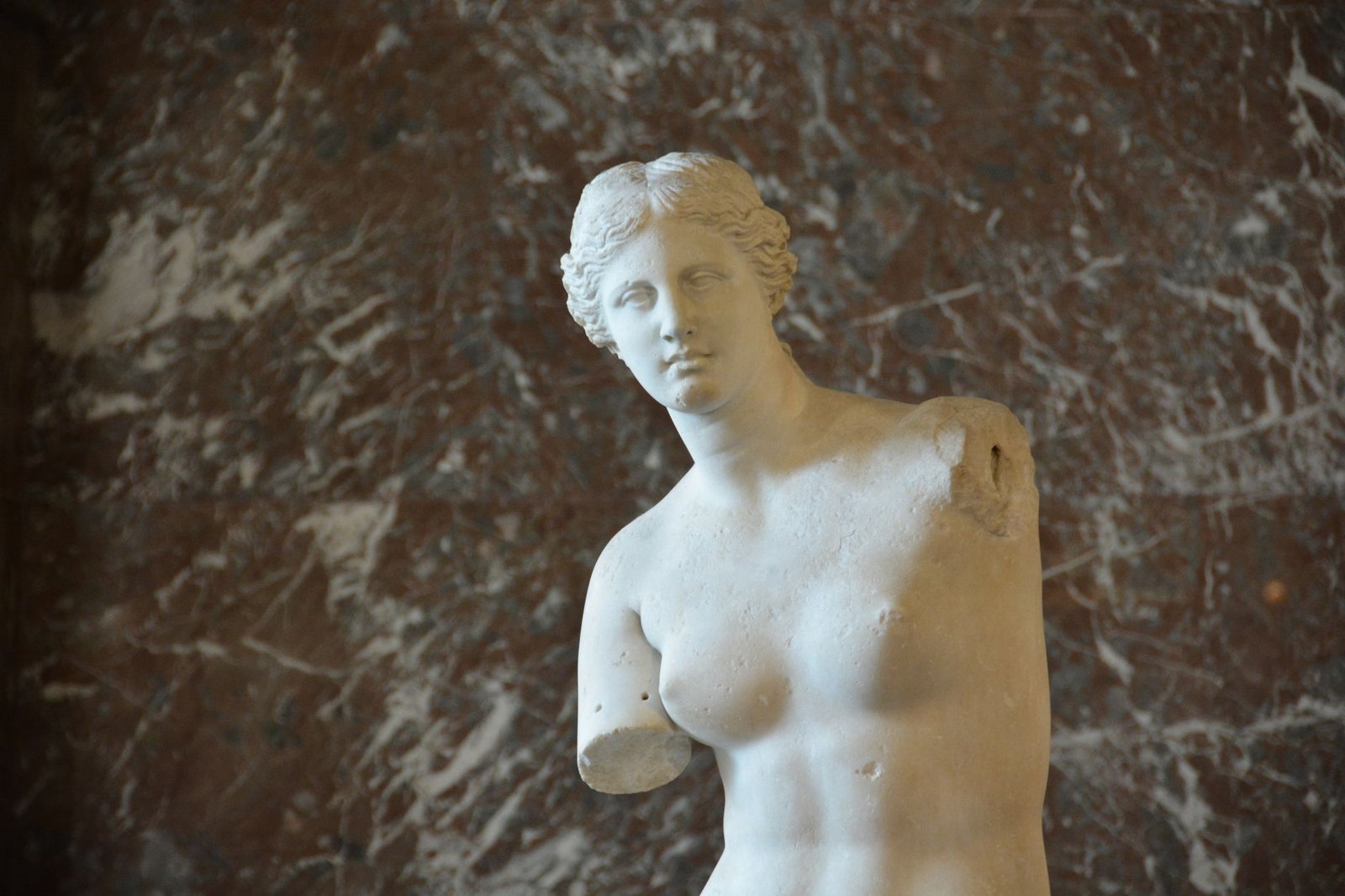Close-up of the Venus de Milo marble statue against a marble background, showing Aphrodite in classical sculpture.