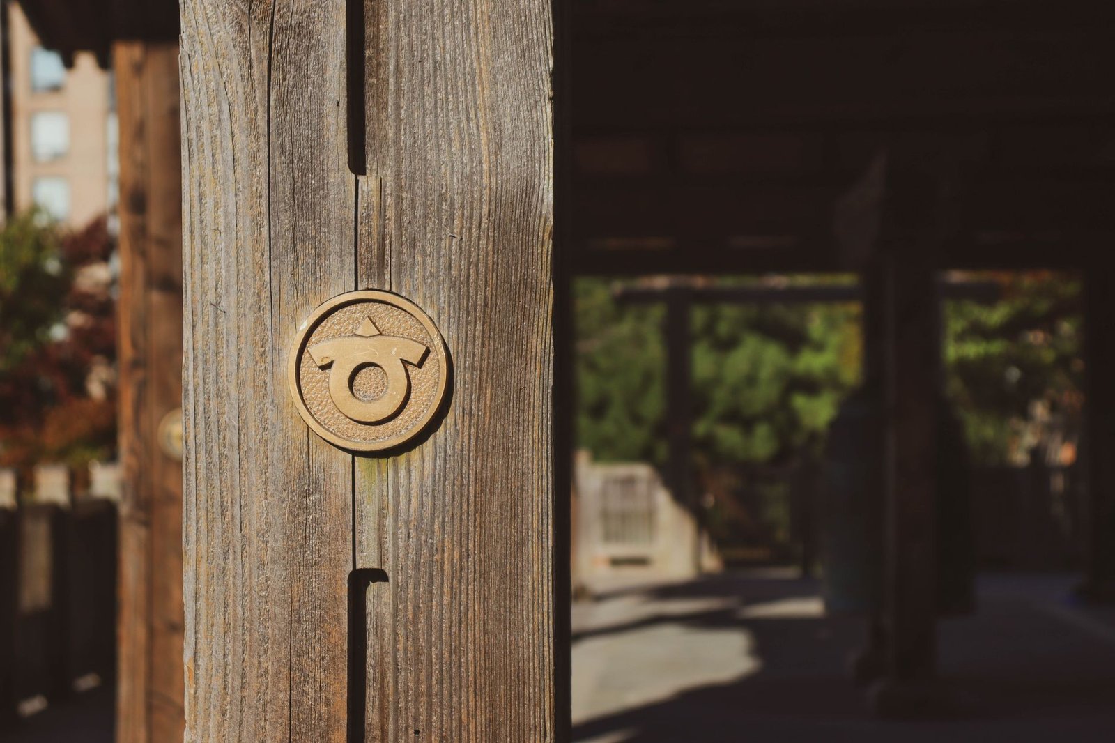 Close-up of a rustic wooden door with a round brass handle, no Celtic symbol visible