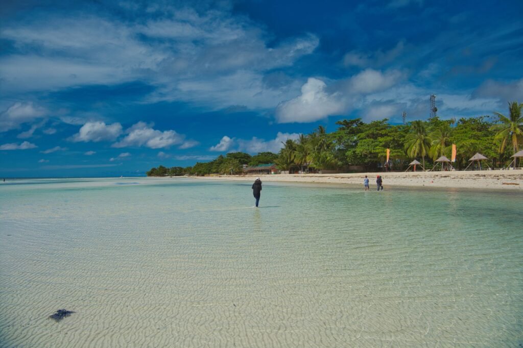 Turquoise water and white sandy beach with palm trees under a blue sky, evoking Manawydan’s Welsh legend