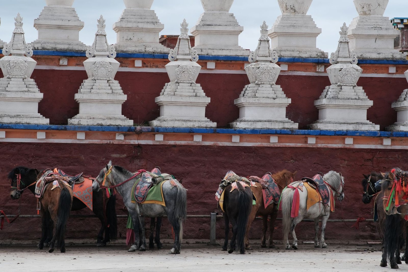 Row of saddled horses standing beside a Tibetan temple wall with white stupas in the background