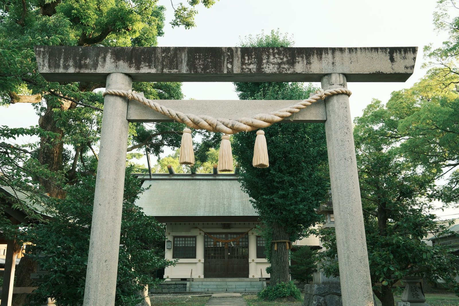 Traditional Japanese torii gate at a Shinto shrine entrance, framed by greenery and sakaki tree branches