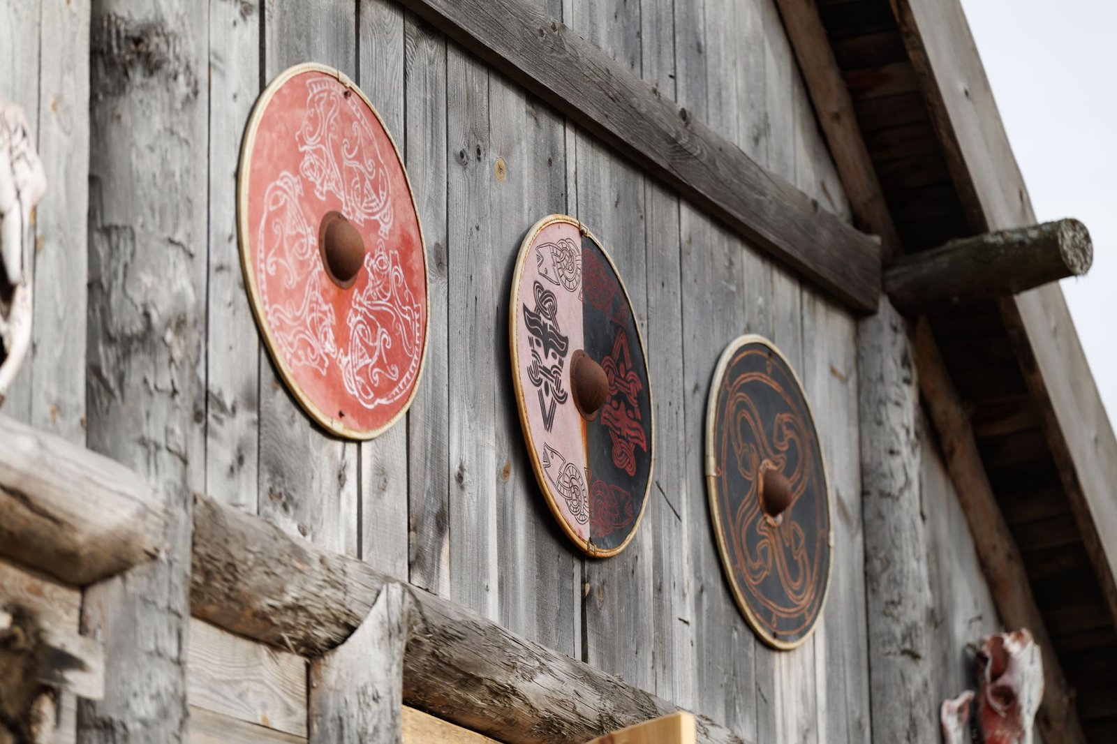 Three decorative Viking-style shields mounted on a rustic wooden wall