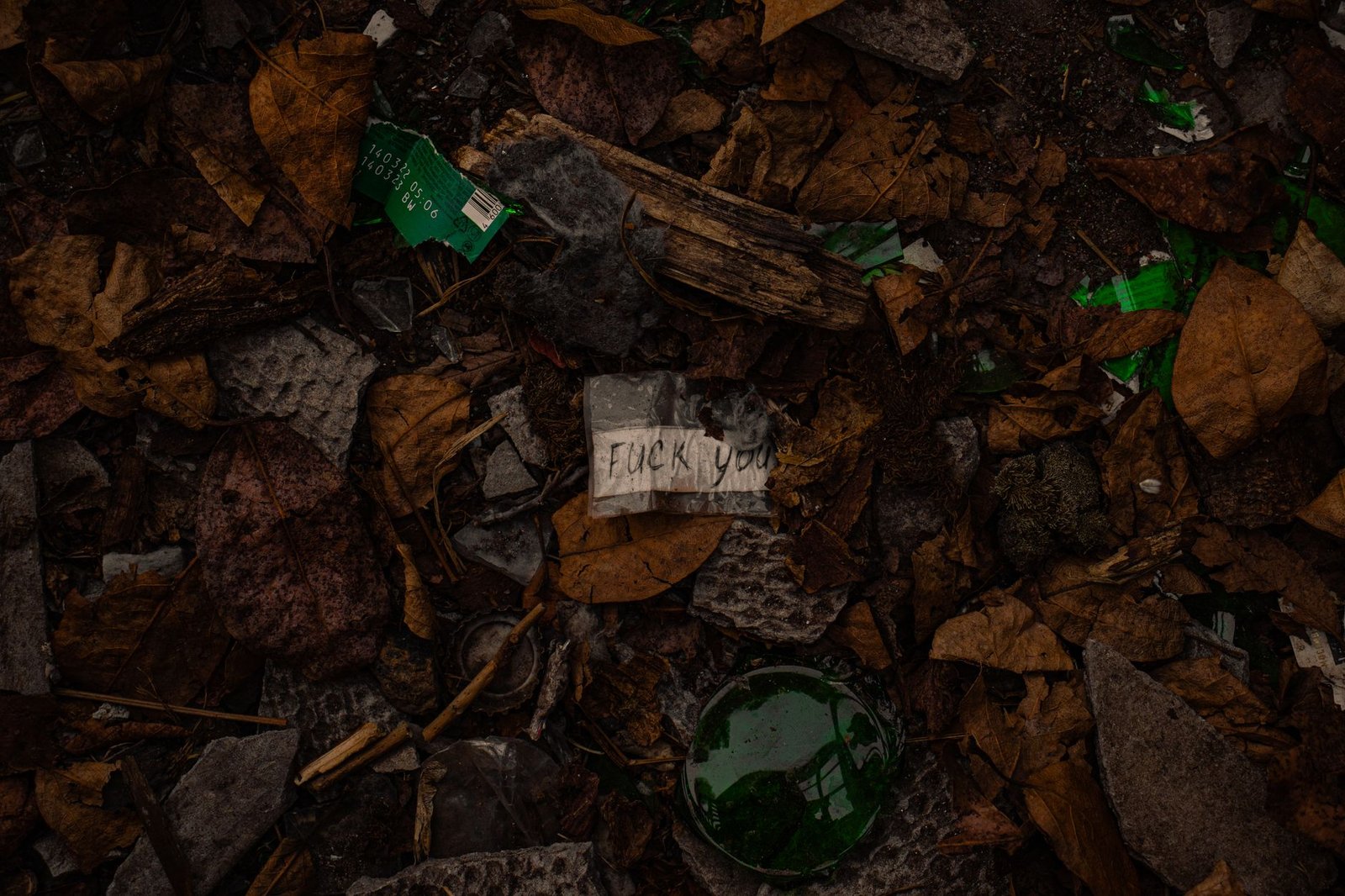 Close-up of forest floor with dry leaves and scattered green glass bottle fragments, evoking The Curse of Macha