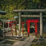 Traditional Japanese torii gates in a serene forest shrine setting with trees and a peaceful path