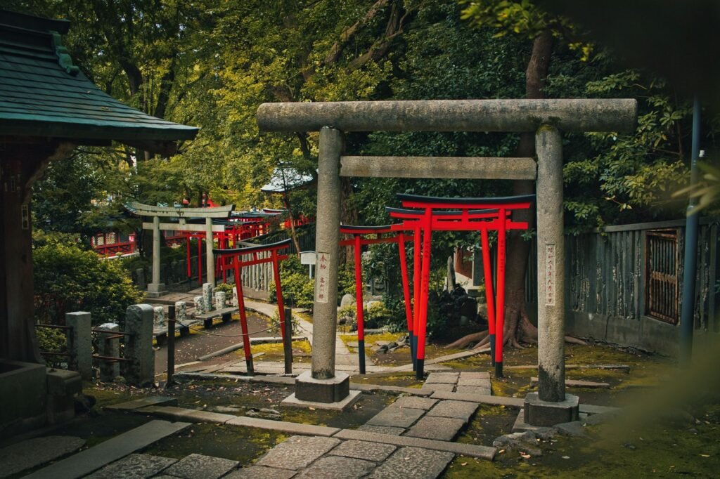 Traditional Japanese torii gates standing in a serene forest shrine setting