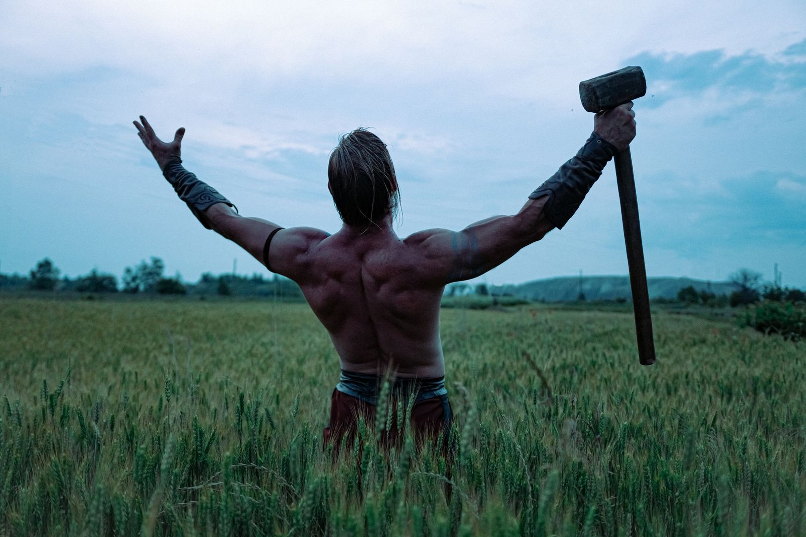Muscular Norse warrior holding an axe in a field beneath a cloudy sky, symbolizing strength and protection