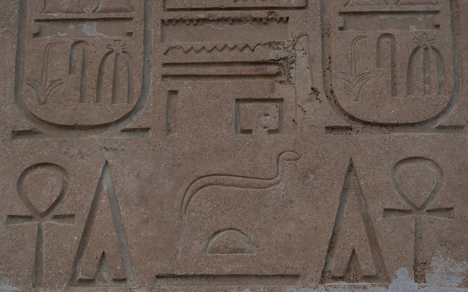 Ancient Egyptian stone carvings with hieroglyphs, including ankh symbols and animal figures