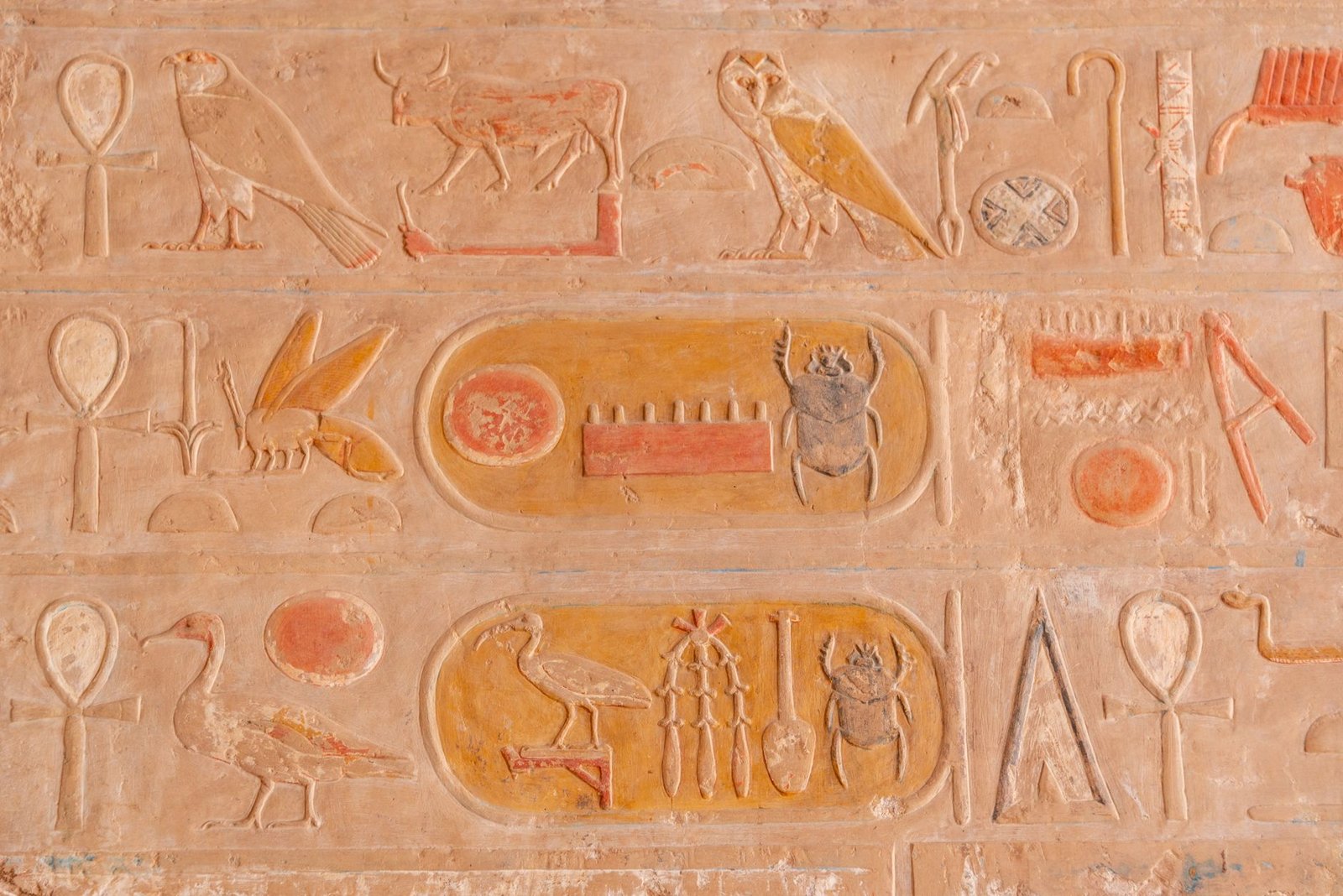 Ancient Egyptian hieroglyphs carved and painted on a stone wall, featuring a sedge plant symbol and other symbols