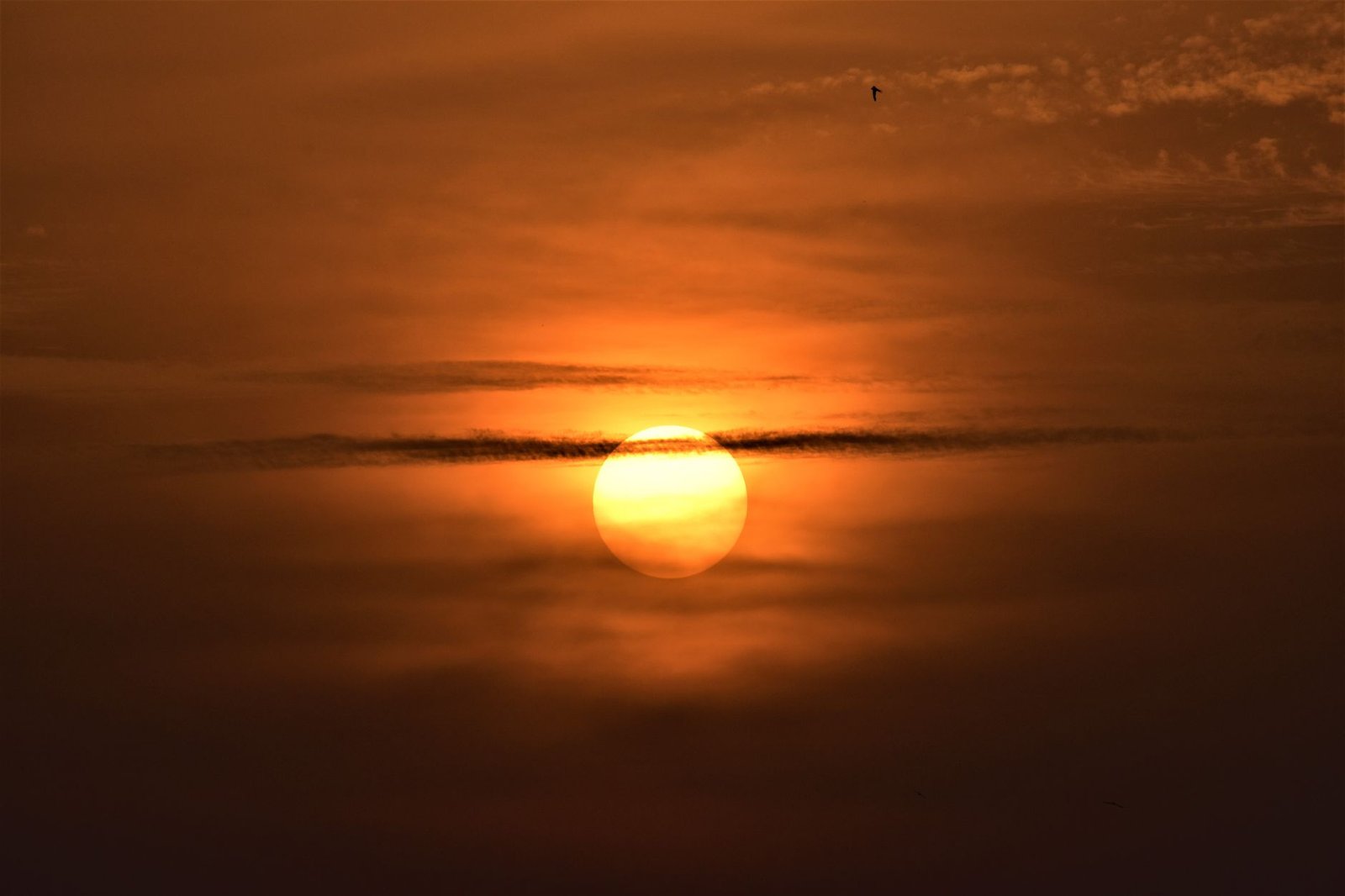 Sun partially hidden by clouds in an orange sunset sky, evoking the winged sun disk of Egyptian mythology