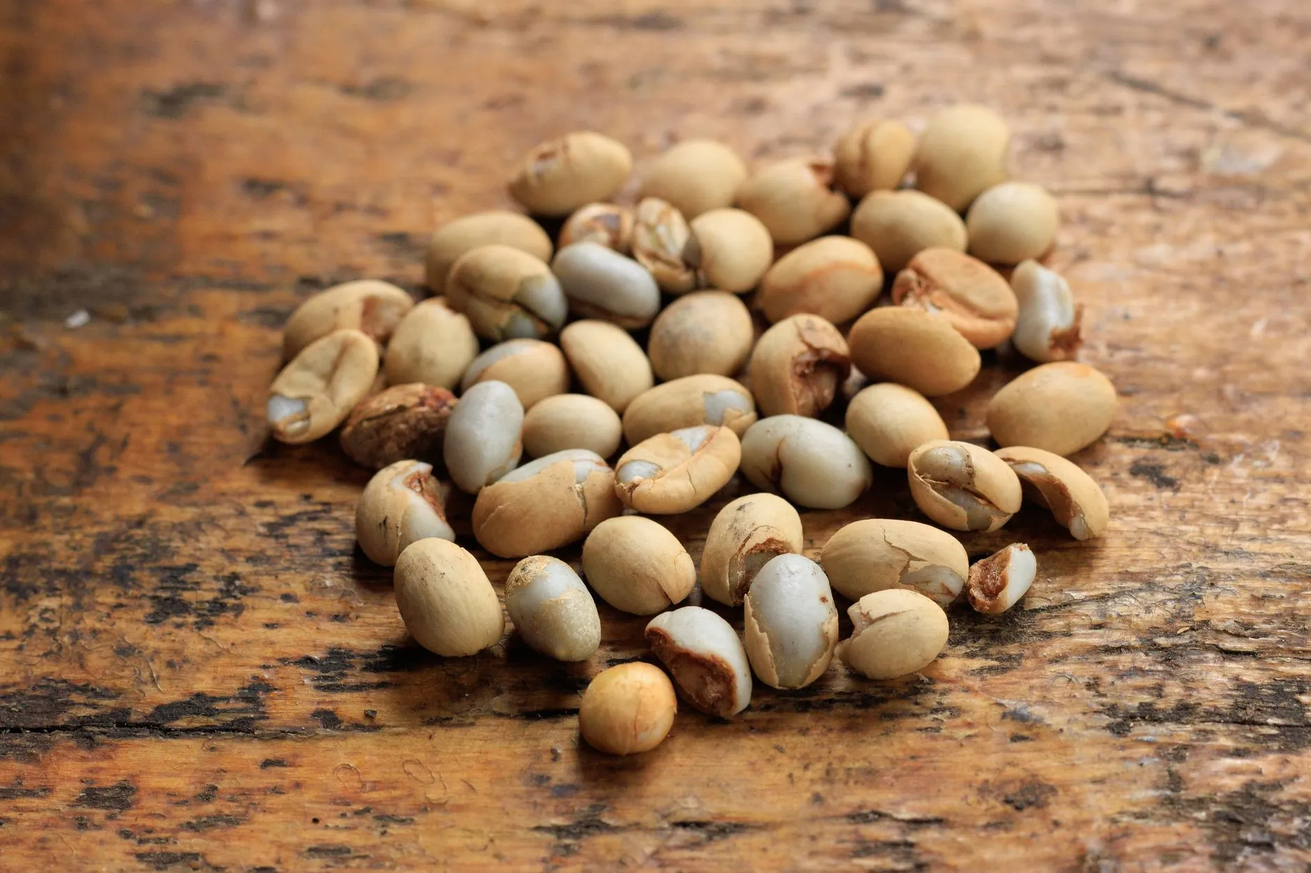 Close-up of raw soybeans scattered on a wooden surface