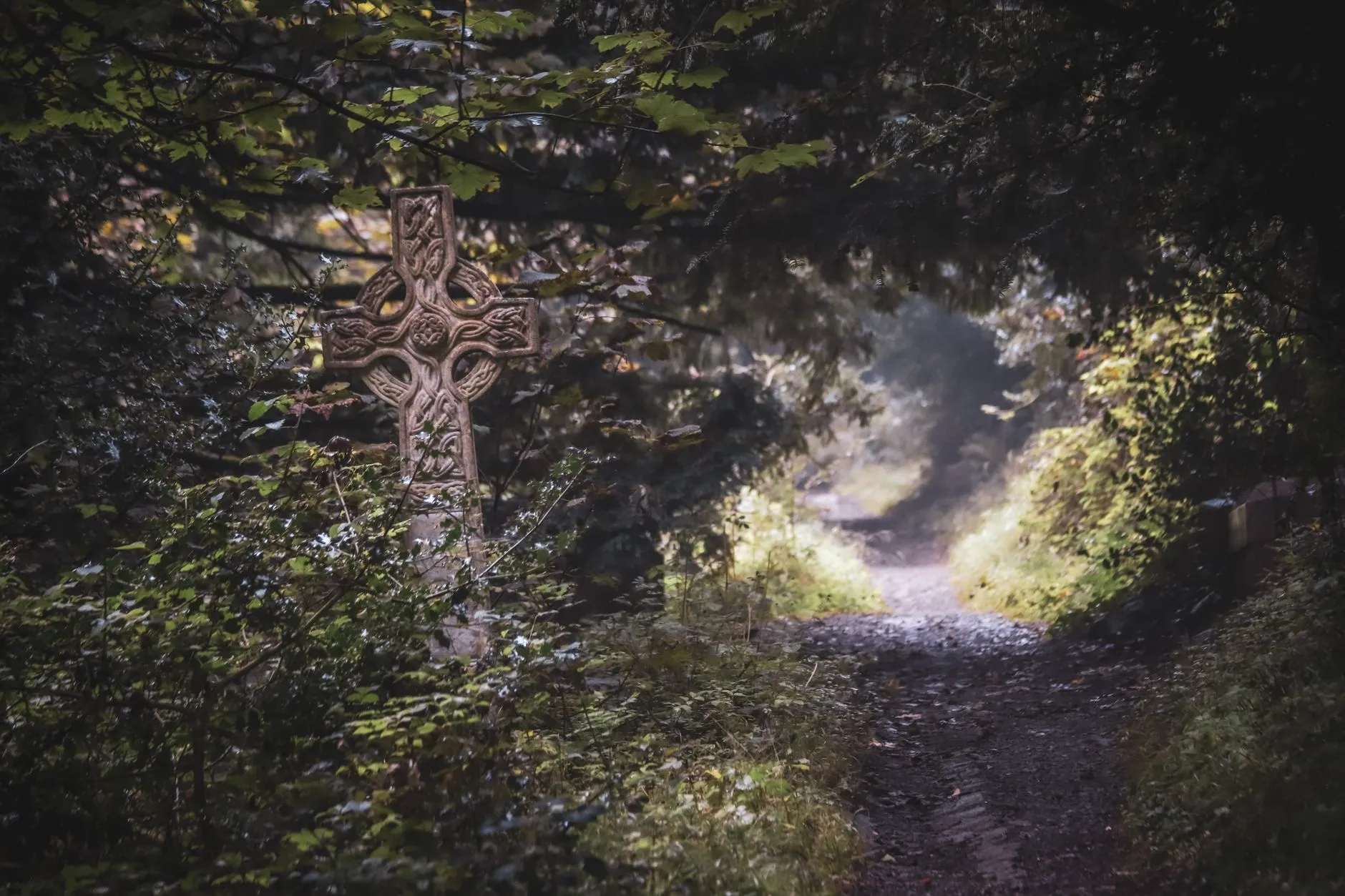 Ancient Celtic cross on a forest path surrounded by dense green foliage and misty woodland.