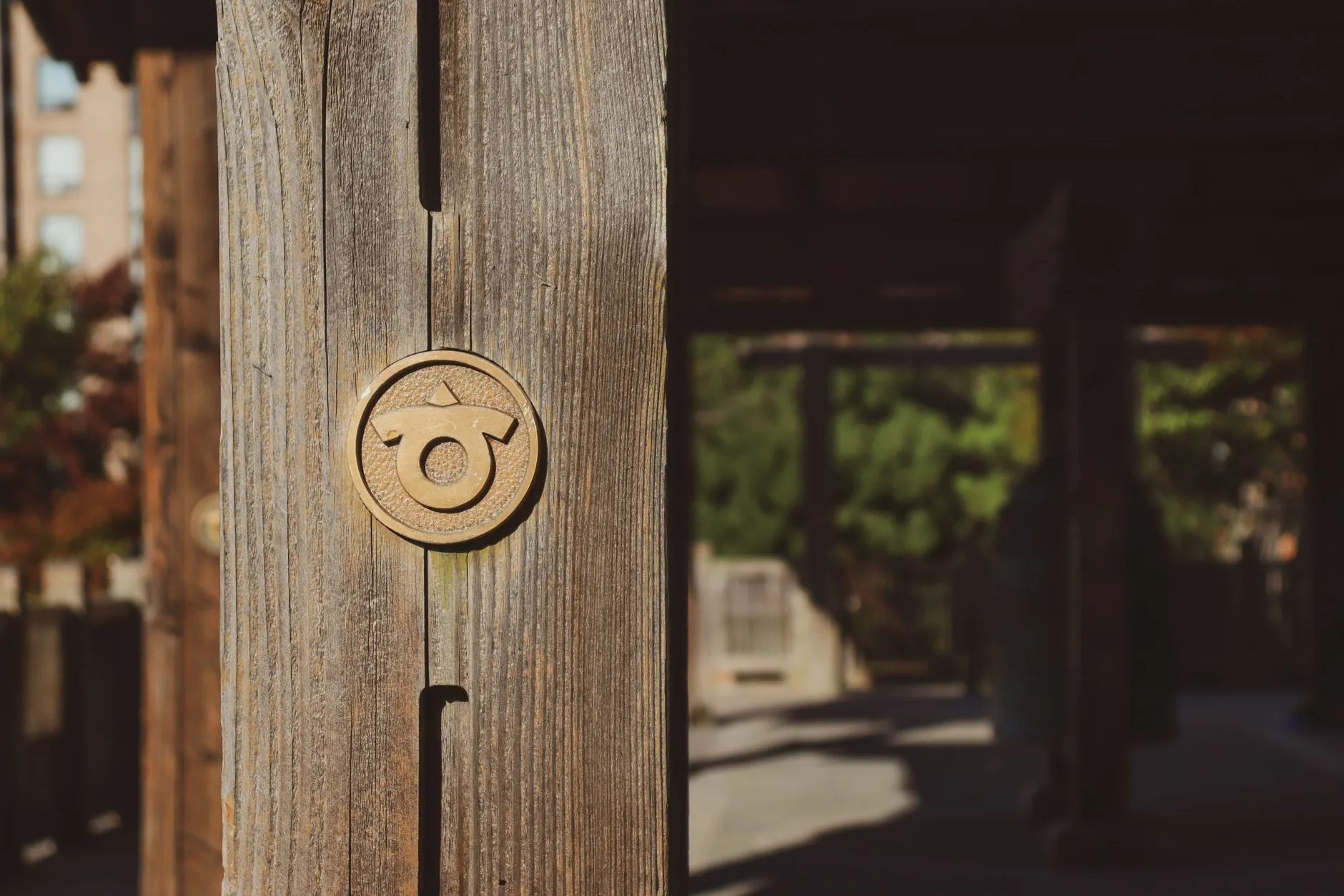 Close-up of a rustic wooden door with a round brass handle, no Celtic symbol visible